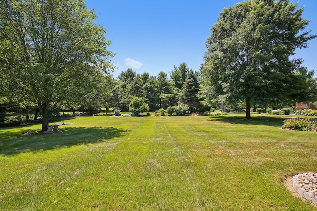 368 E Willis Rd, Saline, MI 48176 - photo 87