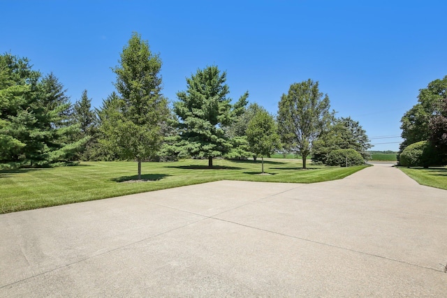 368 E Willis Rd, Saline, MI 48176 - photo 9
