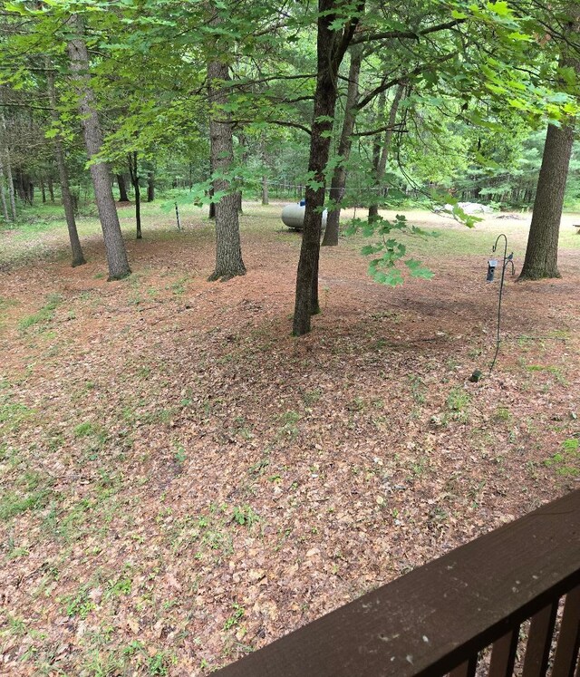 22944 N Coates Hwy, Harrietta, MI 49638 - photo 22