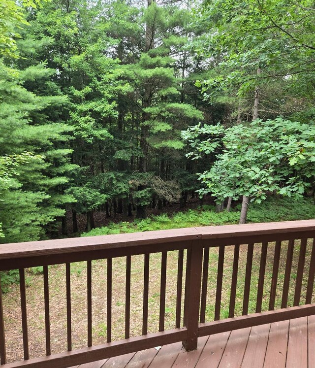22944 N Coates Hwy, Harrietta, MI 49638 - photo 23