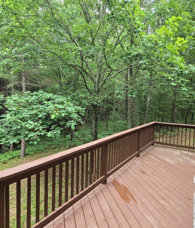 22944 N Coates Hwy, Harrietta, MI 49638 - photo 24