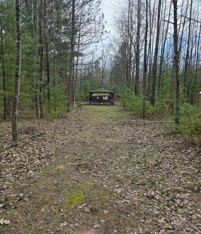 22944 N Coates Hwy, Harrietta, MI 49638 - photo 19