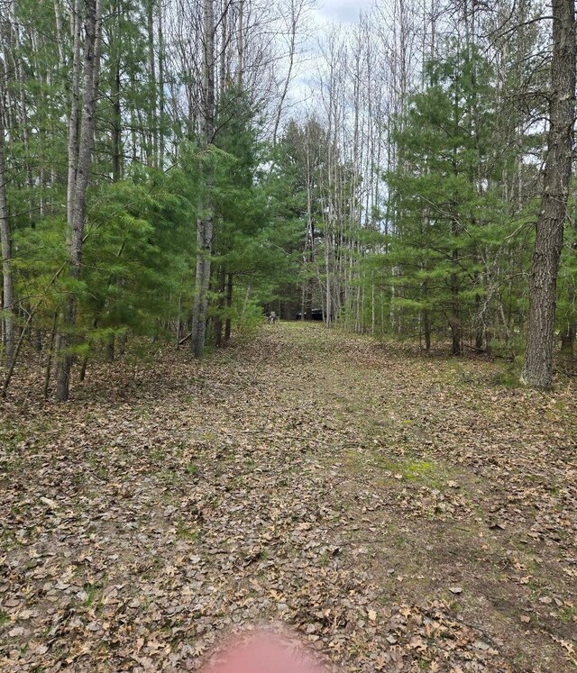 22944 N Coates Hwy, Harrietta, MI 49638 - photo 13