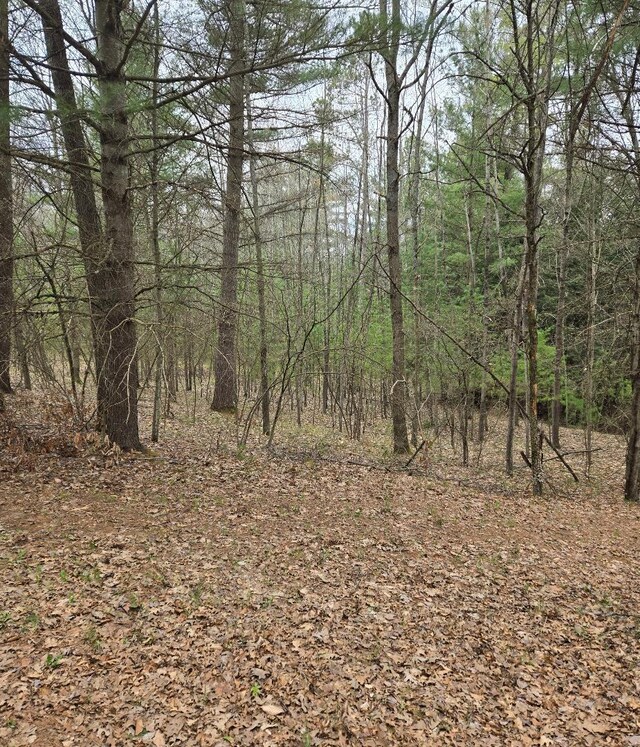 22944 N Coates Hwy, Harrietta, MI 49638 - photo 16