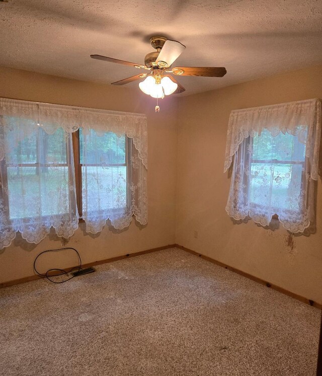 22944 N Coates Hwy, Harrietta, MI 49638 - photo 51