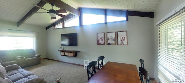 4113 Tipton Woods Dr, Adrian, MI 49221 - photo 22