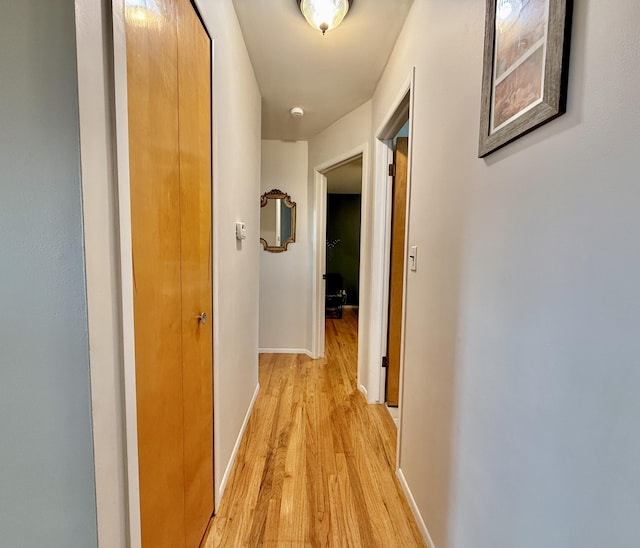 32205 John Hauk St, Garden City, MI 48135 - photo 11