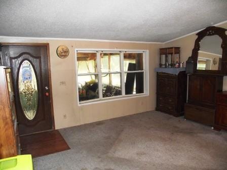 395 N Campbell Rd, Fountain, MI 49410 - photo 5
