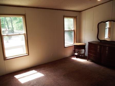 395 N Campbell Rd, Fountain, MI 49410 - photo 6