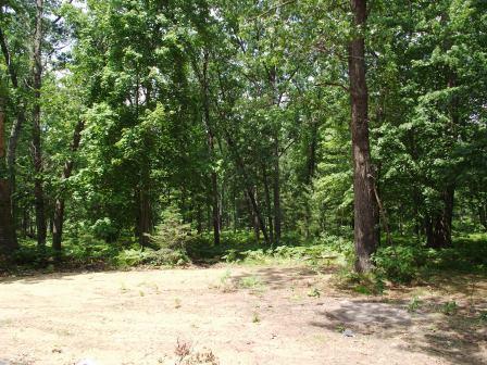 395 N Campbell Rd, Fountain, MI 49410 - photo 21