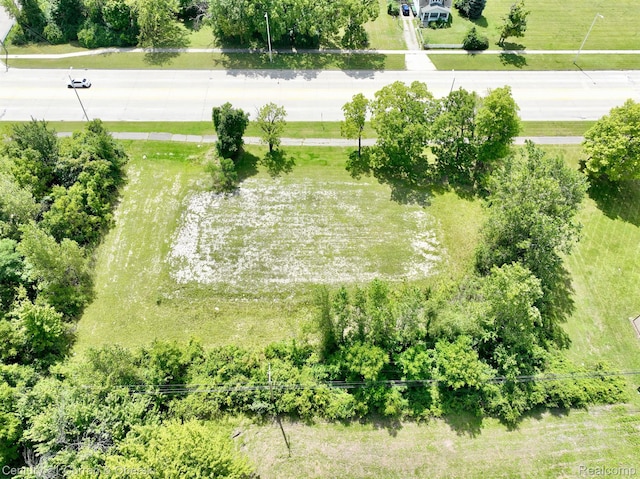 12841 Telegraph Rd, Taylor, MI 48180 - photo 10