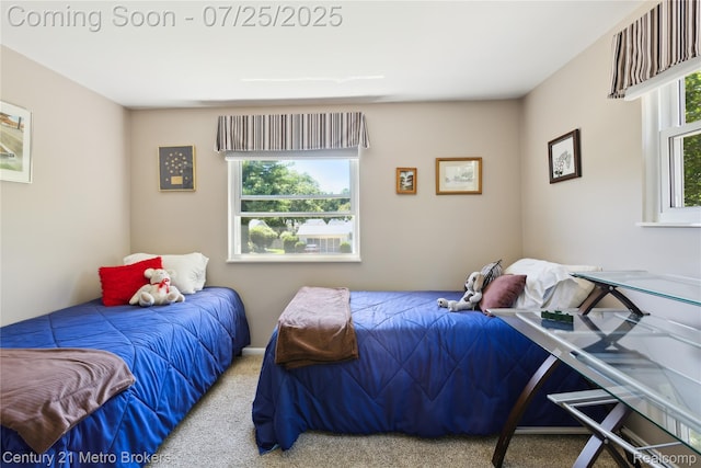 2362 Belle Meade Dr, Davison, MI 48423 - photo 24