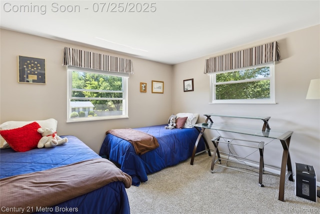 2362 Belle Meade Dr, Davison, MI 48423 - photo 23