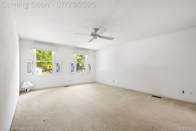 42117 Banbury Rd, Northville, MI 48168 - photo 24