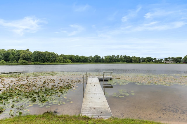 1834 S Pratt Lk, Martin, MI 49070 - photo 19
