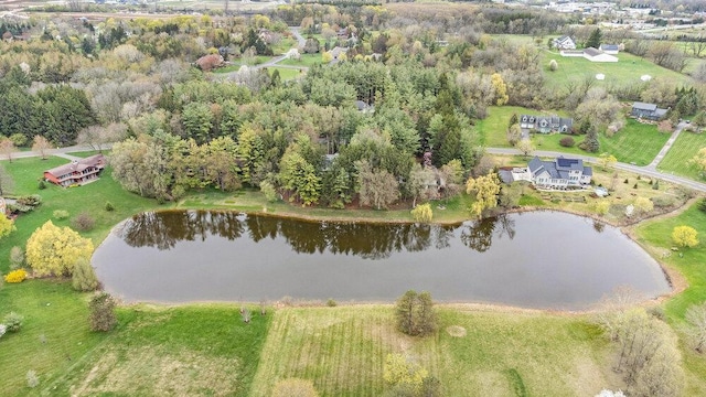 3961 N Michael Rd, Ann Arbor, MI 48103 - photo 63