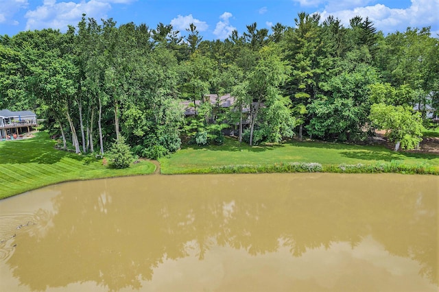 3961 N Michael Rd, Ann Arbor, MI 48103 - photo 67