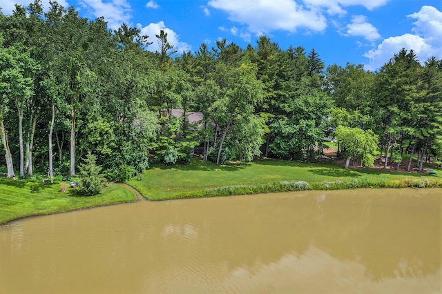 3961 N Michael Rd, Ann Arbor, MI 48103 - photo 69