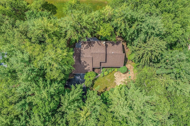 3961 N Michael Rd, Ann Arbor, MI 48103 - photo 70