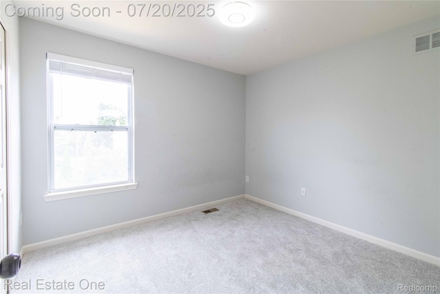 30102 Sparkleberry Dr, Southfield, MI 48076 - photo 31