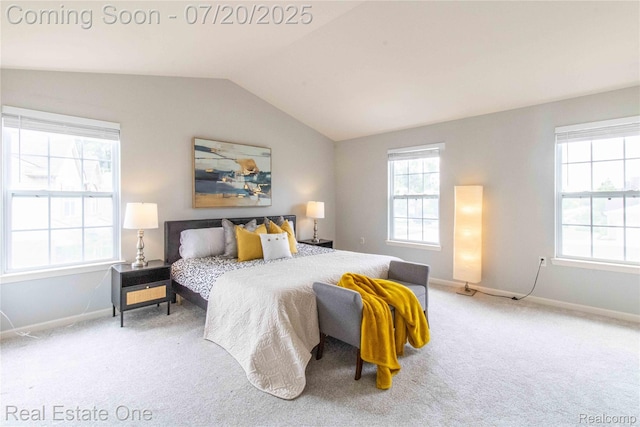 30102 Sparkleberry Dr, Southfield, MI 48076 - photo 21