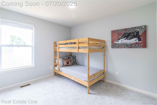 30102 Sparkleberry Dr, Southfield, MI 48076 - photo 33