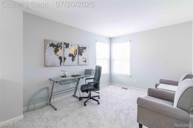 30102 Sparkleberry Dr, Southfield, MI 48076 - photo 26