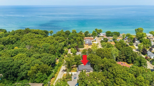214 Marx Dr, New Buffalo, MI 49117 - photo 55