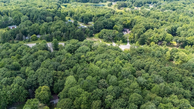 4755 S Graham Rd, Saint Charles, MI 48655 - photo 36