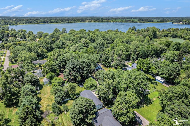 421 Portage St, Grass Lake, MI 49240 - photo 15