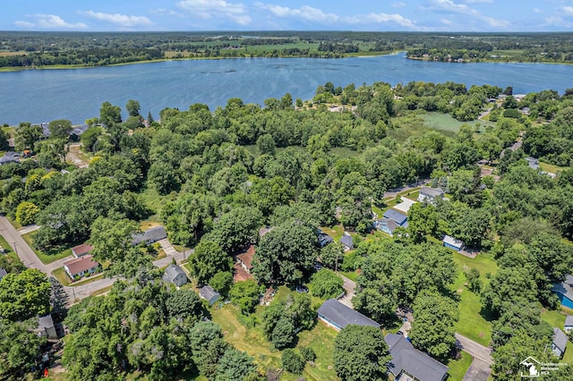 421 Portage St, Grass Lake, MI 49240 - photo 13