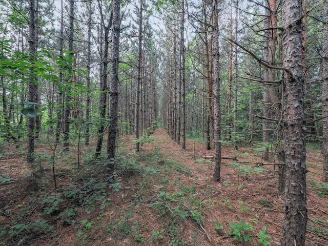 00 Wetzel Lake Rd, Mancelona, MI 49659 - photo 10