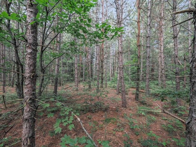 00 Wetzel Lake Rd, Mancelona, MI 49659 - photo 11