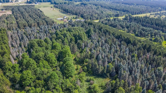 00 Wetzel Lake Rd, Mancelona, MI 49659 - photo 12