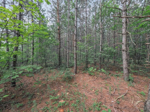 00 Wetzel Lake Rd, Mancelona, MI 49659 - photo 9