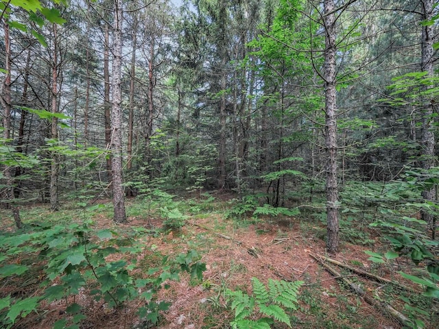 00 Wetzel Lake Rd, Mancelona, MI 49659 - photo 7