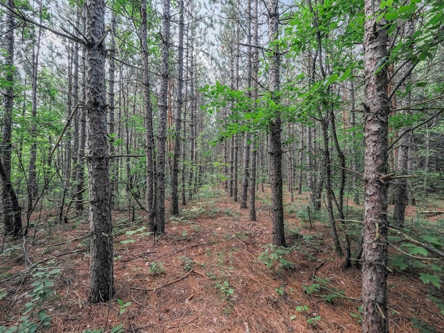 00 Wetzel Lake Rd, Mancelona, MI 49659 - photo 8