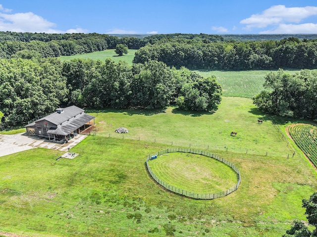 12651 S Enzian Rd, Plainwell, MI 49080 - photo 4
