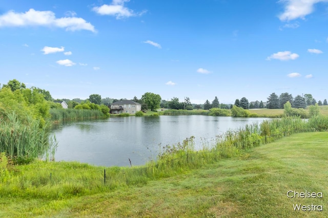 5684 Duncan Cove Ct, Caledonia, MI 49316 - photo 35