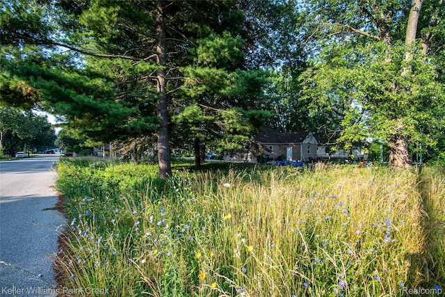 00 Liddle St, Brownstown, MI 48183 - photo 9