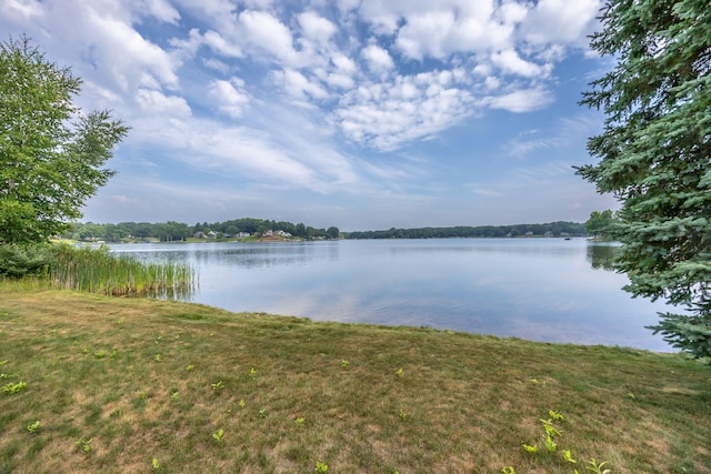 7914 Royal Rd, Canadian Lakes, MI 49346 - photo 16
