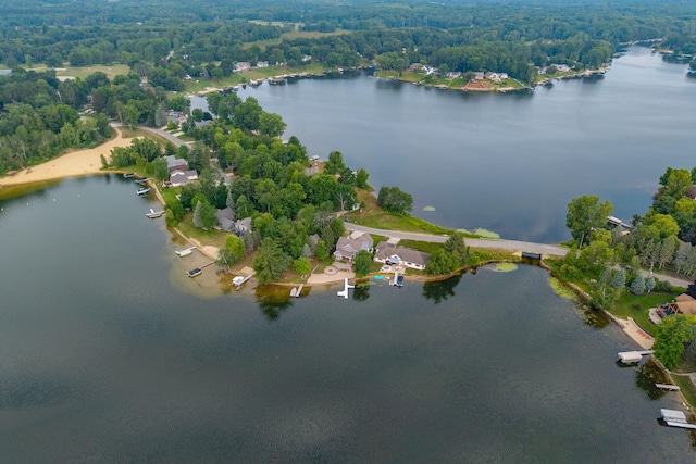 7914 Royal Rd, Canadian Lakes, MI 49346 - photo 29