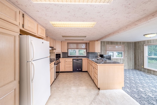 7914 Royal Rd, Canadian Lakes, MI 49346 - photo 11