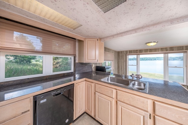 7914 Royal Rd, Canadian Lakes, MI 49346 - photo 13