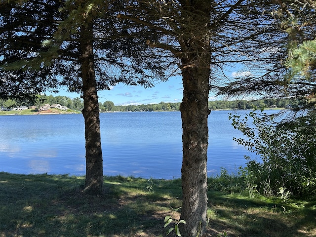 7914 Royal Rd, Canadian Lakes, MI 49346 - photo 3