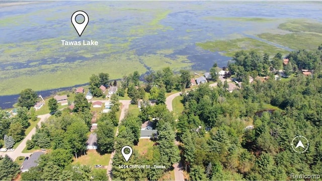 1014 Clifford St, East Tawas, MI 48730 - photo 21