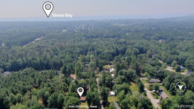 1014 Clifford St, East Tawas, MI 48730 - photo 22