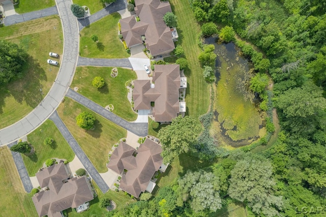 4246 Evergreen Rd, Adrian, MI 49221 - photo 43