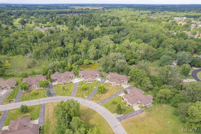 4246 Evergreen Rd, Adrian, MI 49221 - photo 47