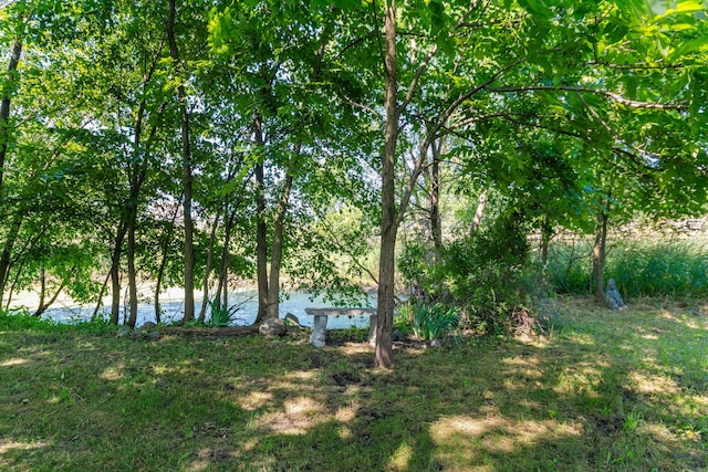 2699 Cedar Lake Rd, Howell, MI 48843 - photo 63